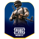 بطاقة شحن شدات ببجي 24000+ Free 8400 UC - $399.99